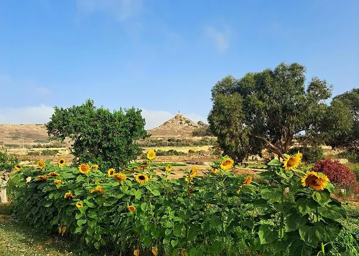 Salty Sun Seafront Penthouse Lejlighed Marsalforn